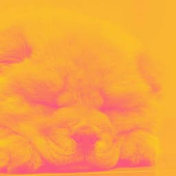 Backdrop for Vet Trips - Calming for Dogs