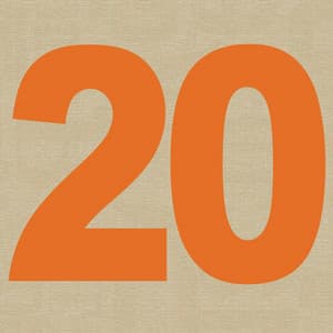 20 - Medeski, Martin & Wood