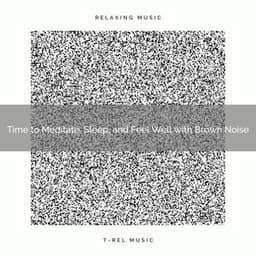2020 Best: Time to Meditate, Sleep, and Feel Well with Brown Noise - Airplane White Noise Baby Sleep
