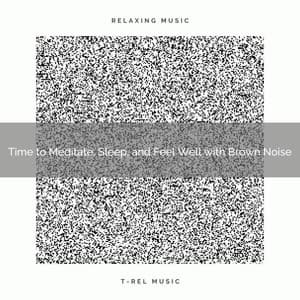 2020 Best: Time to Meditate, Sleep, and Feel Well with Brown Noise - Airplane White Noise Baby Sleep
