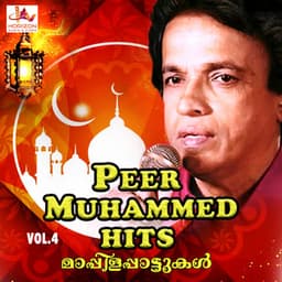 Peer Muhammed Hits, Vol. 4 - Peer Muhammed