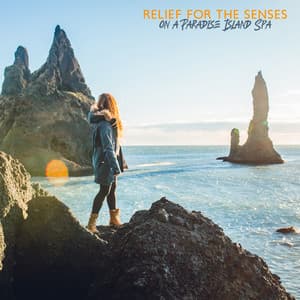 Relief for the Senses on a Paradise Island Spa: Healing Spa, Zen Relaxation, Body, Mind & Soul - Spa Relaxing New Age Project