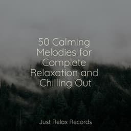 50 Calming Melodies for Complete Relaxation and Chilling Out - Forest Sounds