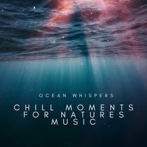 Ocean Whispers: Chill Moments for Natures Music - Naturevibe