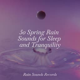 50 Spring Rain Sounds for Sleep and Tranquility - Sonidos De Lluvia y Tormentas