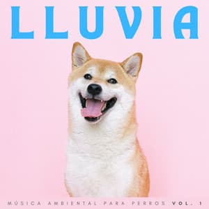 Lluvia: Música Ambiental Para Perros Vol. 1 - Fábrica de Sonidos de Lluvia STHLM
