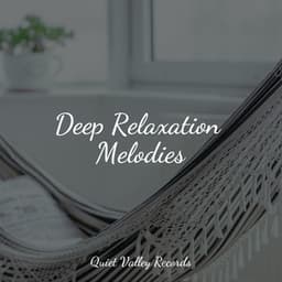 Deep Relaxation Melodies - Pro Sound Effects Library