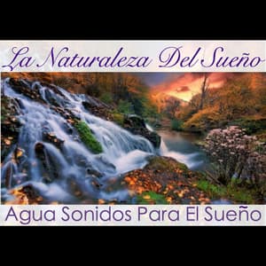 Agua Sonidos Para El Sueño - La Naturaleza Del Sueño