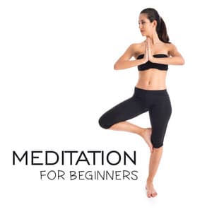 Meditation for Beginners - Buddha Lounge Ensemble