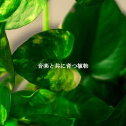 音楽と共に育つ植物 - Cooking Music Playlist