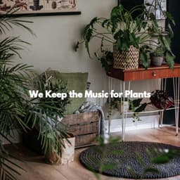 We Keep the Music for Plants - Dinner Jazz Playlist