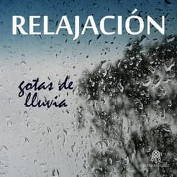 Relajación: Gotas de Lluvia - Lluvia Del Bosque