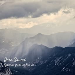 Rain Sound: Sprinkles from the Sky Vol. 1 - Rain Hive