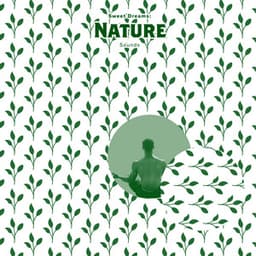 Sweet Dreams: Nature Sounds - Natural Sound Makers