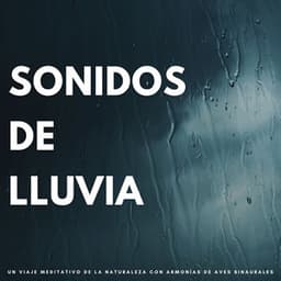 Sonidos De Lluvia: Un Viaje Meditativo De La Naturaleza Con Armonías De Aves Binaurales - Laboratorio de Sonidos de Lluvia