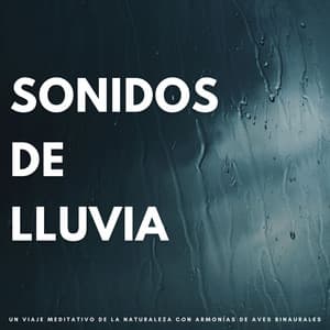 Sonidos De Lluvia: Un Viaje Meditativo De La Naturaleza Con Armonías De Aves Binaurales - Laboratorio de Sonidos de Lluvia