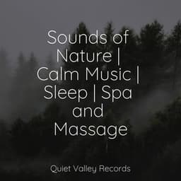 Sounds of Nature | Calm Music | Sleep | Spa and Massage - Rainforest