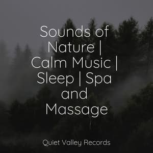 Sounds of Nature | Calm Music | Sleep | Spa and Massage - Rainforest