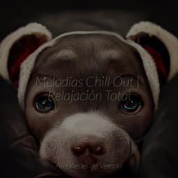 Melodías Chill Out | Relajación Total - Lullabyes