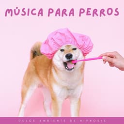 Música Para Perros: Dulce Ambiente De Hipnosis - Música relajante con sonidos de la naturaleza
