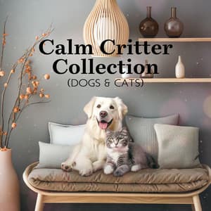 Calm Critter Collection : Relaxing Tunes for Your Four-Legged Friends - Pet Music Doctor