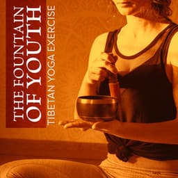 The Fountain of Youth - Ana Silencio