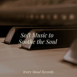 Soft Music to Soothe the Soul - Piano para Relaxar