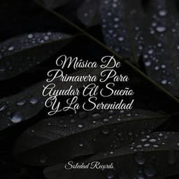 Música De Primavera Para Ayudar Al Sueño Y La Serenidad - Canciones Para Niños