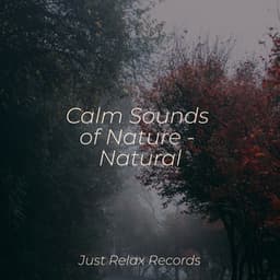 Calm Sounds of Nature - Natural - Naturaleza Sonidos