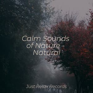 Calm Sounds of Nature - Natural - Naturaleza Sonidos