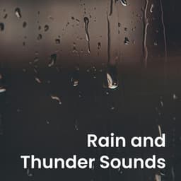 Rain and Thunder Sounds - Pro Sounds of Nature