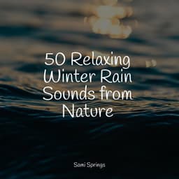 50 Relaxing Winter Rain Sounds from Nature - Water Sound Natural White Noise