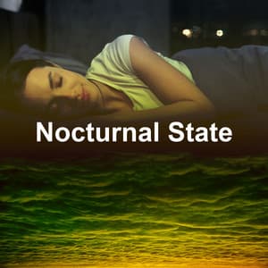 Nocturnal State - Deep Sleep Sanctuary