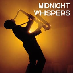 Urban Daydreams - New York Jazz Trio