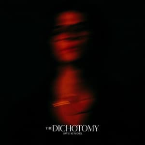 The Dichotomy - David Kushner