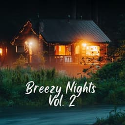 Breezy Nights Vol. 2 - Lo-Fi for Studying