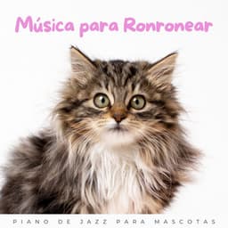 Música Para Ronronear: Piano De Jazz Para Mascotas - Lluvia serena para criaturas