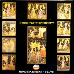 Krishna's Journey - Ronu Majumdar