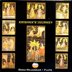 Krishna's Journey - Ronu Majumdar