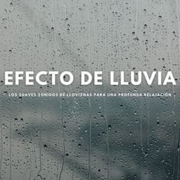 Efecto De Lluvia: Los Suaves Sonidos De Lloviznas Para Una Profunda Relajación - Ruido De Colores