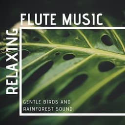 Relaxing Flute Music: Gentle Birds and Rainforest Sound - May First