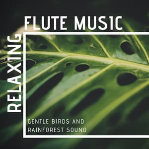 Relaxing Flute Music: Gentle Birds and Rainforest Sound - May First