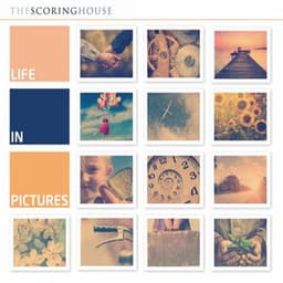 Life in Pictures - Alexander Gray