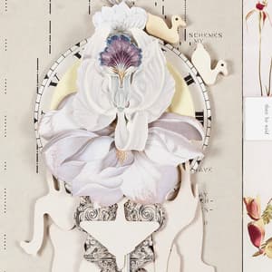 Wildflowers, Vol.1 - Kurt Elling