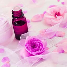 Spacious Music for Smooth Timbers - Piano Bossa Nova Duo - French Mornings