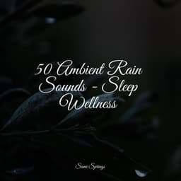 50 Ambient Rain Sounds - Sleep Wellness - Deep Focus