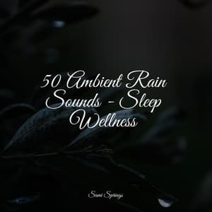50 Ambient Rain Sounds - Sleep Wellness - Deep Focus