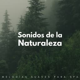 Sonidos De La Naturaleza: Melodías Suaves Para Spa - Academia de sonidos de la naturaleza