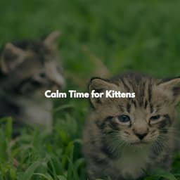Calm Time for Kittens - Desayuno Jazz
