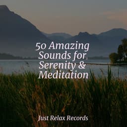 50 Amazing Sounds for Serenity & Meditation - Lullabyes